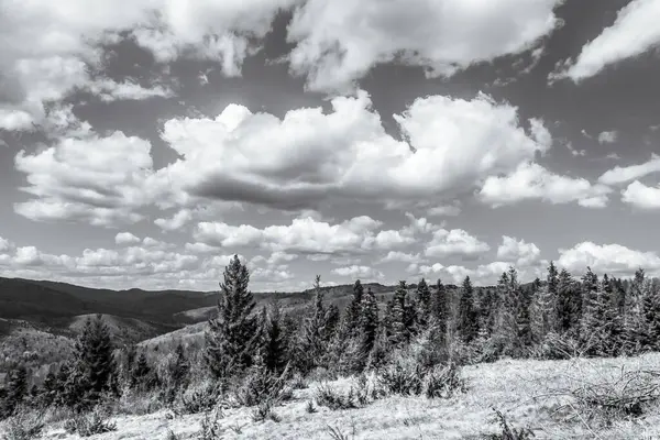 Dağların güzel manzarası
