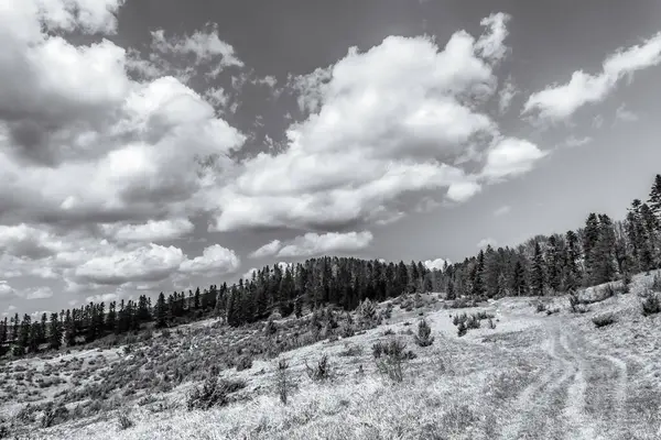 Dağlardaki siyah ve beyaz manzaralar