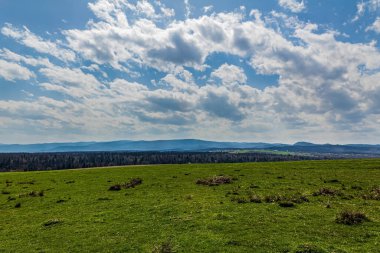 Güneşli bir günde bahar çayırlarının manzarası