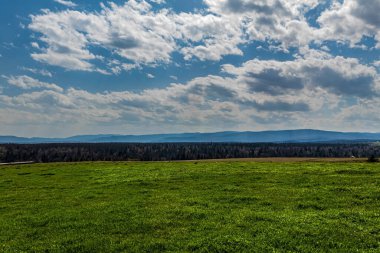 Çimen tarlası olan güzel bir manzara.