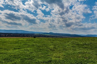 Çimen tarlası ve mavi gökyüzü olan güzel bir manzara.