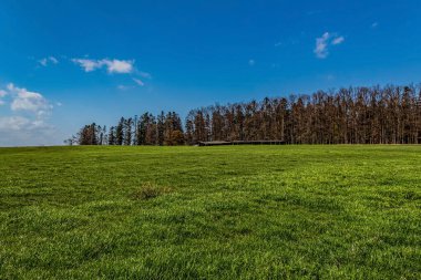 Doğanın güzel manzarası