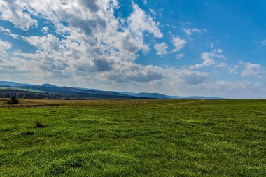 Yeşil çimenleri ve mavi gökyüzü olan güzel bir manzara.