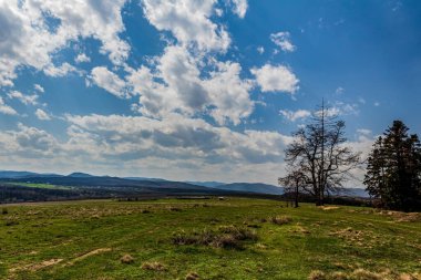 Çimen tarlası ve mavi gökyüzü olan güzel bir manzara.