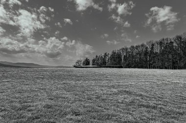 Siyah beyaz güzel bir manzara.