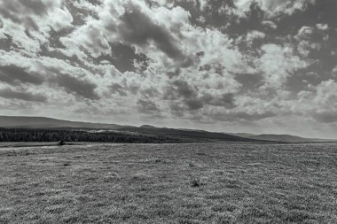 Güzel manzara. doğa arkaplanı