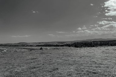 Ağacı ve dağı olan güzel bir manzara.