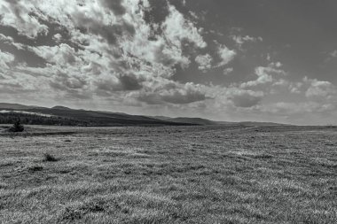 Bir alanın dikey çekimi ve arka planda ağaçlar