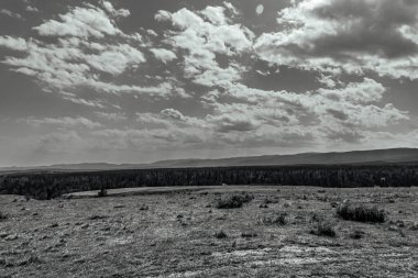 Karpatlar 'daki dağın siyah ve beyaz manzarası, Ukrayna