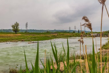 Orman, Karpatlar, Doğa Fotoğrafları - Avrupa, Doğu Avrupa, Romanya 