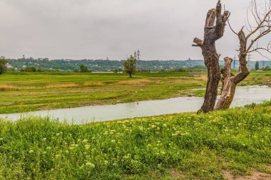 Orman, Karpatlar, Doğa Fotoğrafları - Avrupa, Doğu Avrupa, Romanya 