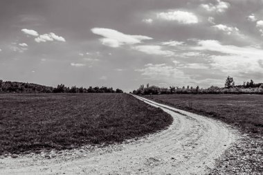 Orman, Karpatlar, Doğa Fotoğrafları - Avrupa, Doğu Avrupa, Romanya 