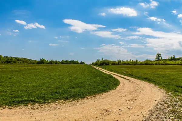 Orman, Karpatlar, Doğa Fotoğrafları - Avrupa, Doğu Avrupa, Romanya 