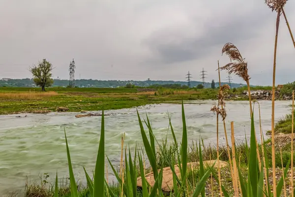 Orman, Karpatlar, Doğa Fotoğrafları - Avrupa, Doğu Avrupa, Romanya 