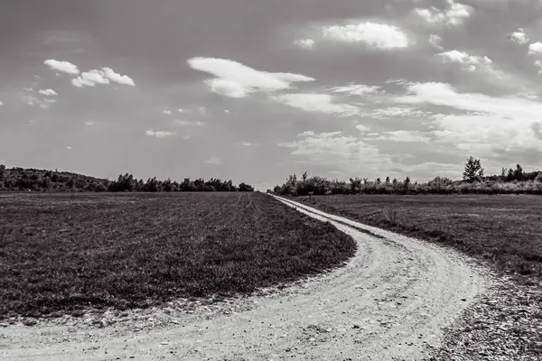 Orman, Karpatlar, Doğa Fotoğrafları - Avrupa, Doğu Avrupa, Romanya 