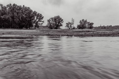 Orman, Karpatlar, Doğa Fotoğrafları - Avrupa, Doğu Avrupa, Romanya 