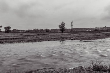 Orman, Karpatlar, Doğa Fotoğrafları - Avrupa, Doğu Avrupa, Romanya 