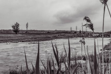 Orman, Karpatlar, Doğa Fotoğrafları - Avrupa, Doğu Avrupa, Romanya 