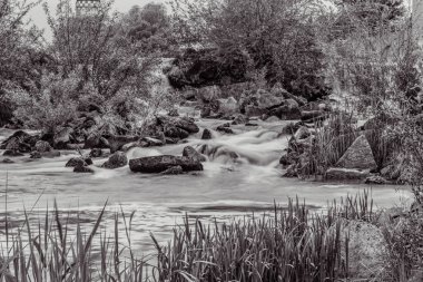 Orman, Karpatlar, Doğa Fotoğrafları - Avrupa, Doğu Avrupa, Romanya 
