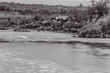 Orman, Karpatlar, Doğa Fotoğrafları - Avrupa, Doğu Avrupa, Romanya 