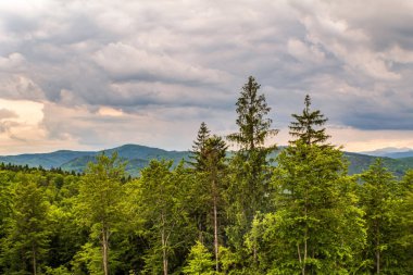 Karpatların güzel manzarası
