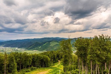 Yeşil tepeler ve dağlar
