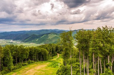 Arkasında bir dağ olan güzel bir manzara.