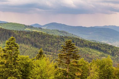 Karpat dağlarında güzel bir yaz manzarası