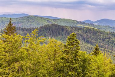 Bir dağ sırasının güzel manzarası