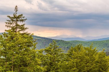 Dağları ve mavi gökyüzünü arka planda tutan güzel bir manzara, Karpatlar, Ukrayna