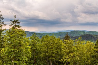 Dağlardaki güzel yaz manzarası. Avrupa 'daki Karpatlar.