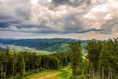 Yaz günü yüksek bir dağ sırtından Karpatlar 'ın manzarası
