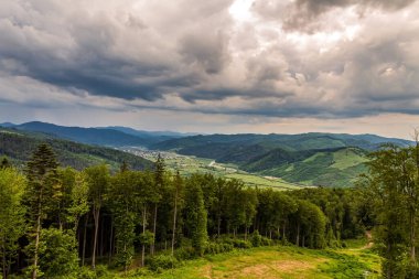 Yazın Karpat Dağları