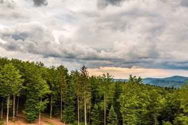 Karpatya, Polonya 'daki dağların manzarası
