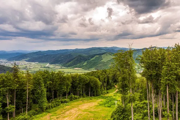 Arkaplanda yeşil orman ve dağlar