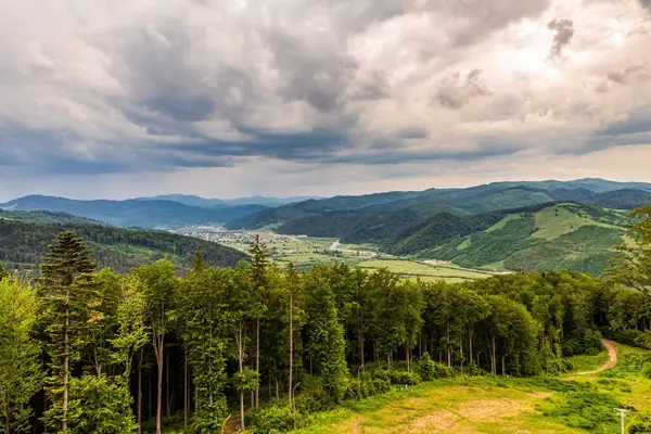 Dağlarda yaz manzarası. Yeşil ağaçlar ve bulutlu mavi gökyüzü. Karpatlar, Ukrayna