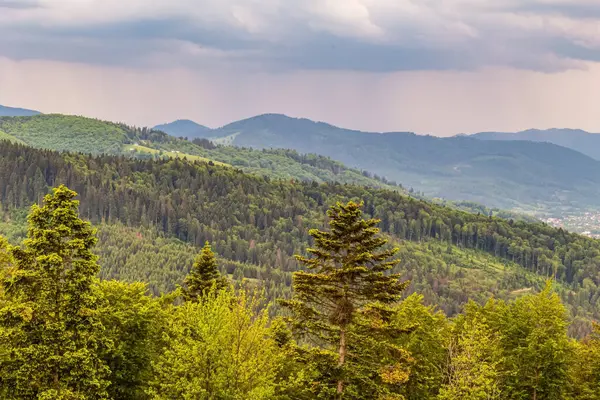 Karpat dağlarında güzel bir yaz manzarası