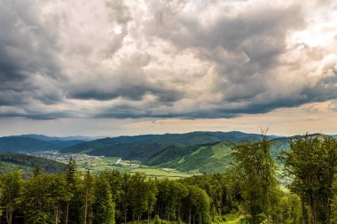 Arkasında bir dağ olan güzel bir manzara.