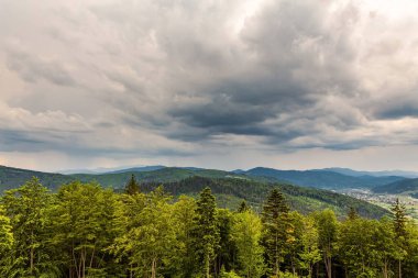Karpatlar 'daki güzel dağ manzarası. Yazın bulutlu doğa rezervi.