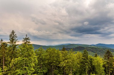 Karpatlar 'daki dağ sırasının manzarası, yaz manzarası, Karpatlar' daki bulutlu gökyüzü, Ukrayna.
