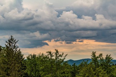 Orman vadisinde bulutlar.