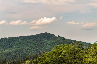 Yazın Ukraynalı Karpatların Yeşil Tepeleri.