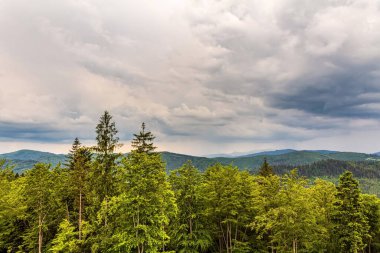 Dağların güzel manzarası