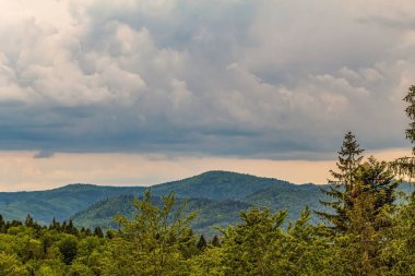 Polonya 'daki ormandaki dağların güzel manzarası.