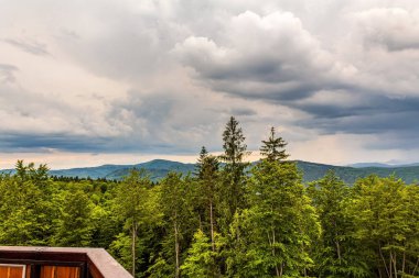 Yazın dağların güzel manzarası