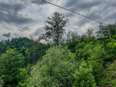 Güzel bulutlu bir arkaplanı olan yeşil ağaçların dikey görüntüsü.