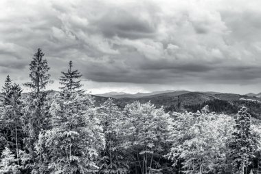 Karpatlar 'ın dağlarında siyah beyaz bulutlar