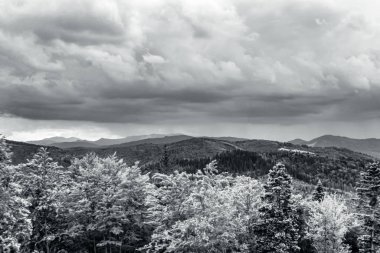 Güneşli bir günde kara ormanın bulutların altında alçak açılı bir görüntüsü.