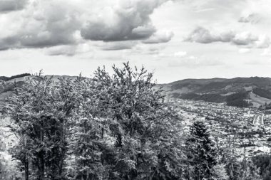 bir dağ manzarasının siyah beyaz fotoğrafı