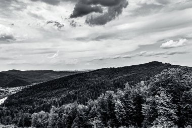 güzel dağ manzarası ile orman